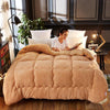 4Kg Thicken Shearling Blanket Winter Soft Warm Bed Quilt for Bedding Twin Full Queen King Size