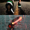 Led Shoe Lights