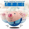 BELUPAID Toy Balls for Toddler(BUY 2 FREE SHIPPING)