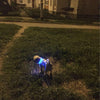 USB Rechargeable Dog or Cat LED Flashing Collar Leash（BUY 1 GET 2ND 10% OFF）