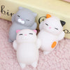 2PCS Anti-stressToy Cute Animal Vent Ball（BUY 1 GET 2ND 10% OFF）