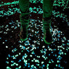 Glow-In-The-Dark Luminous Garden Pebbles - 100pcs