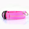 USB Rechargeable Dog or Cat LED Flashing Collar Leash（BUY 1 GET 2ND 10% OFF）