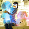 Creative Gift Dog Glowing Doll（BUY 1 GET 2ND 10% OFF）