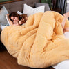 4Kg Thicken Shearling Blanket Winter Soft Warm Bed Quilt for Bedding Twin Full Queen King Size